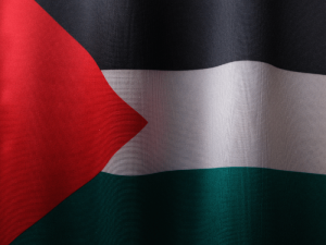 Palestine flag 